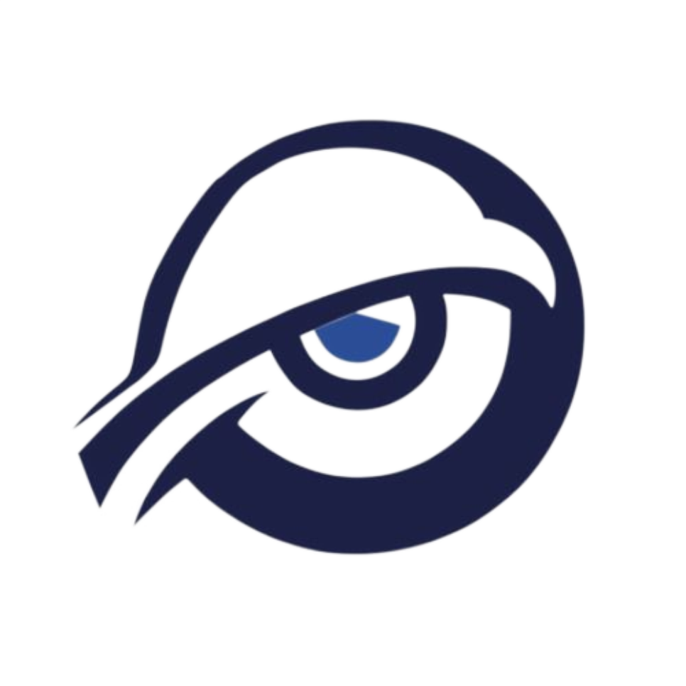 CVision Logo Oficial